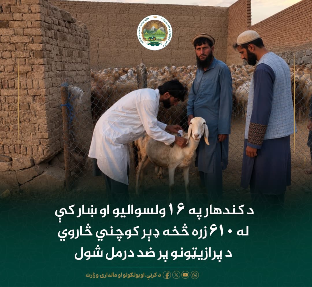 د ورځ مهمی خبری