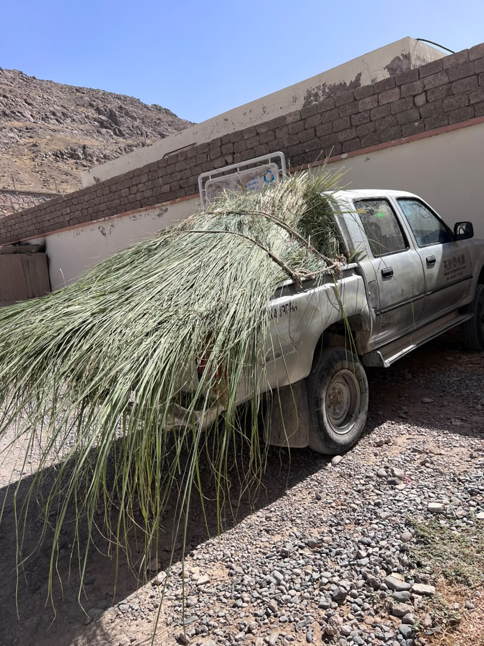د کندهار ارغنداب کې د ځنګلي بوټو ناقانونه لېږد په پار څارنه وشوه