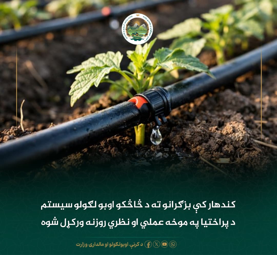 د ورځ مهمی خبری