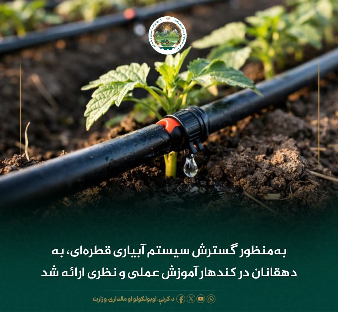 خبرهای مهم روز