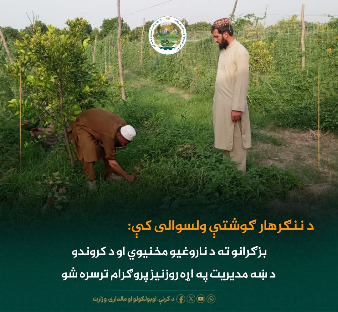 د ورځ مهمی خبری