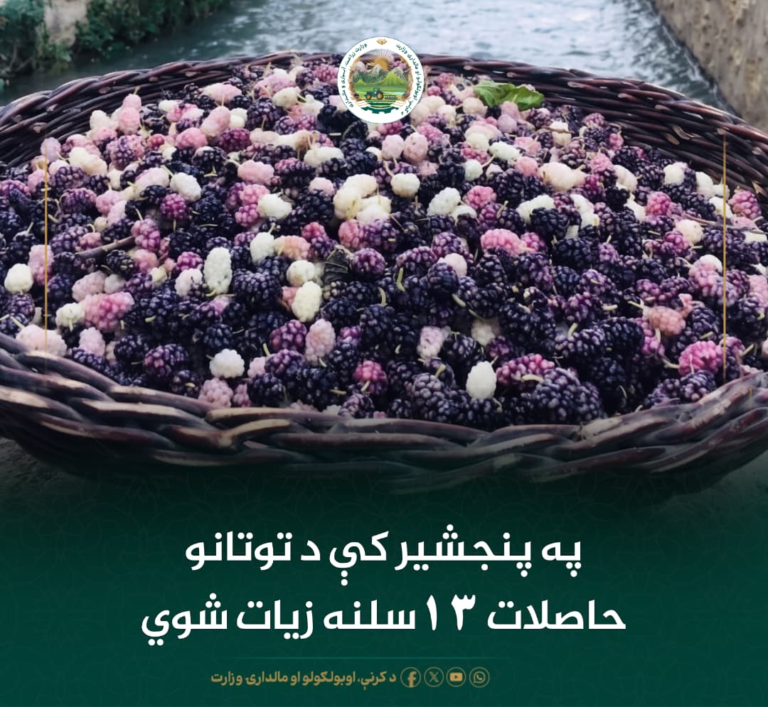 د ورځ مهمی خبری