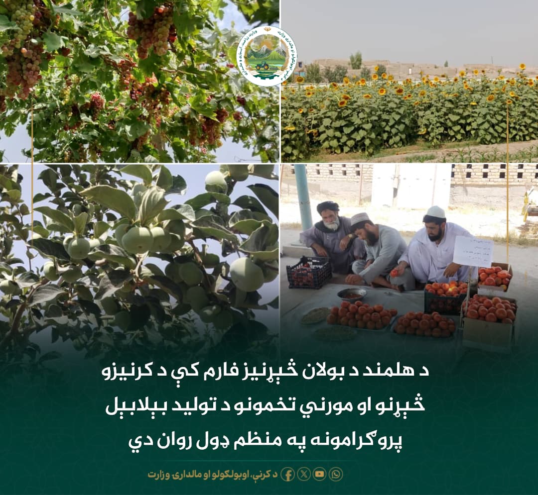 د ورځ مهمی خبری