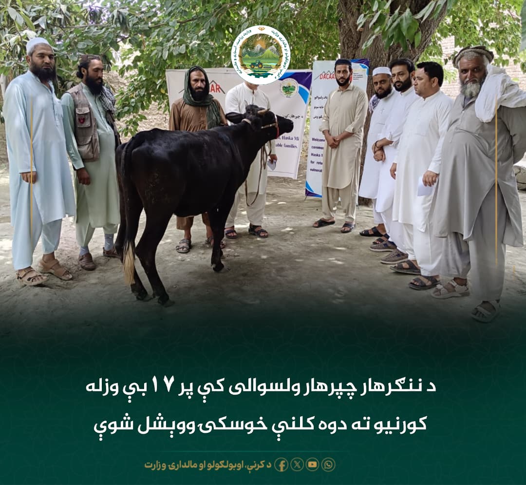 د ورځ مهمی خبری