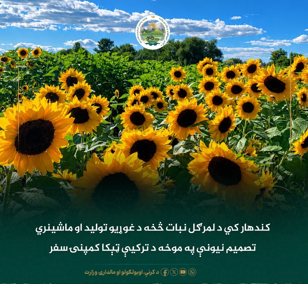 د ورځ مهمی خبری