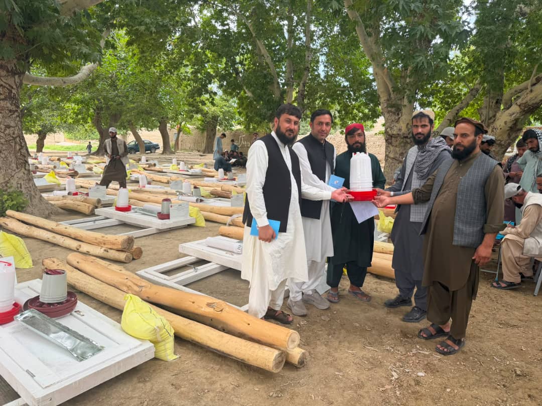 کابل کې څه باندې ۲۰۰ اړمنو کورنیو ته د چرګانو د روزنې تجهیزاتو وېش پیل شو