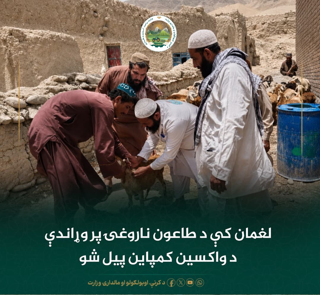 د ورځ مهمی خبری