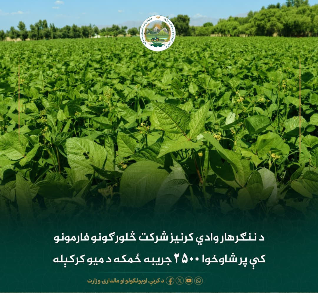 د ورځ مهمی خبری