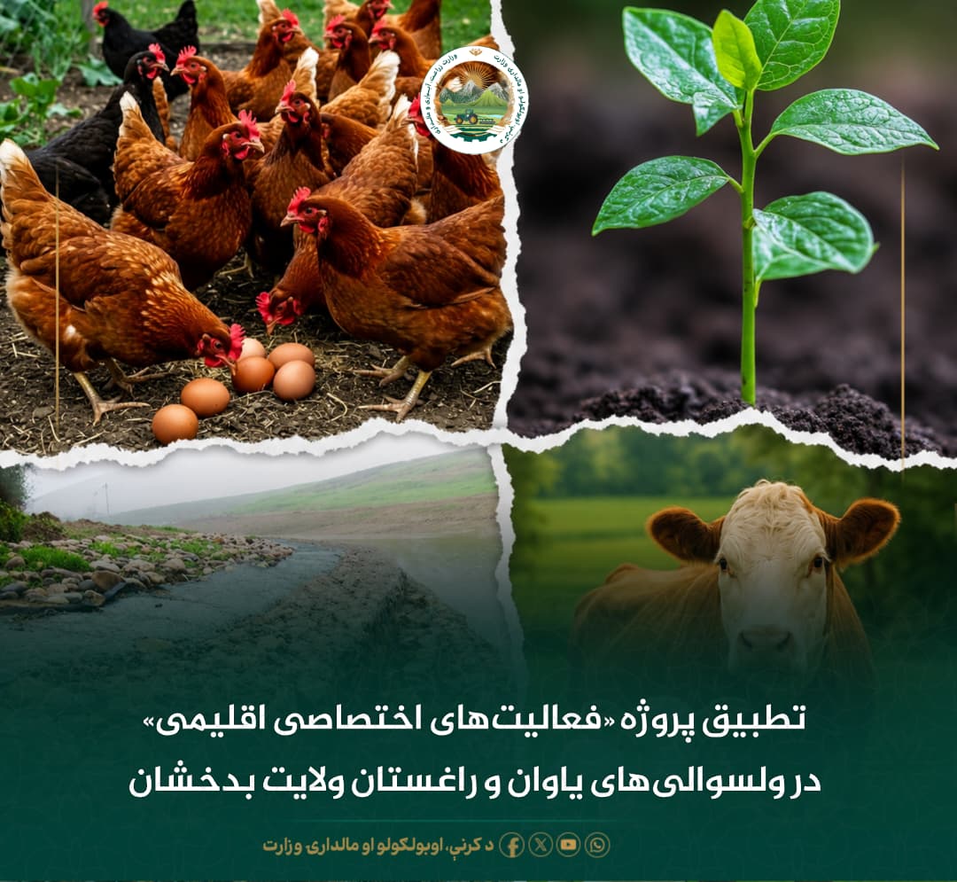 خبرهای مهم روز
