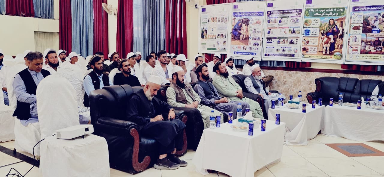 افتتاح برنامه آموزشی سه‌روزه برای ارتقای ظرفیت جمع‌آوری‌کنندگان شیر و پروسس‌کنندگان محصولات لبنی در تخار
