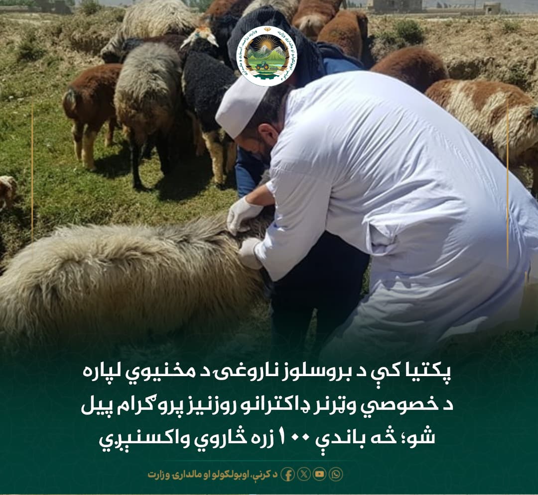 د ورځ مهمی خبری