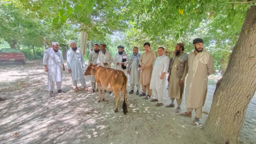د ننګرهار په چپرهار ولسوالی کې ۲۴ اړمنو کورنیو ته دوه کلنې بلاربې خوسکۍ ووېشل شوې
