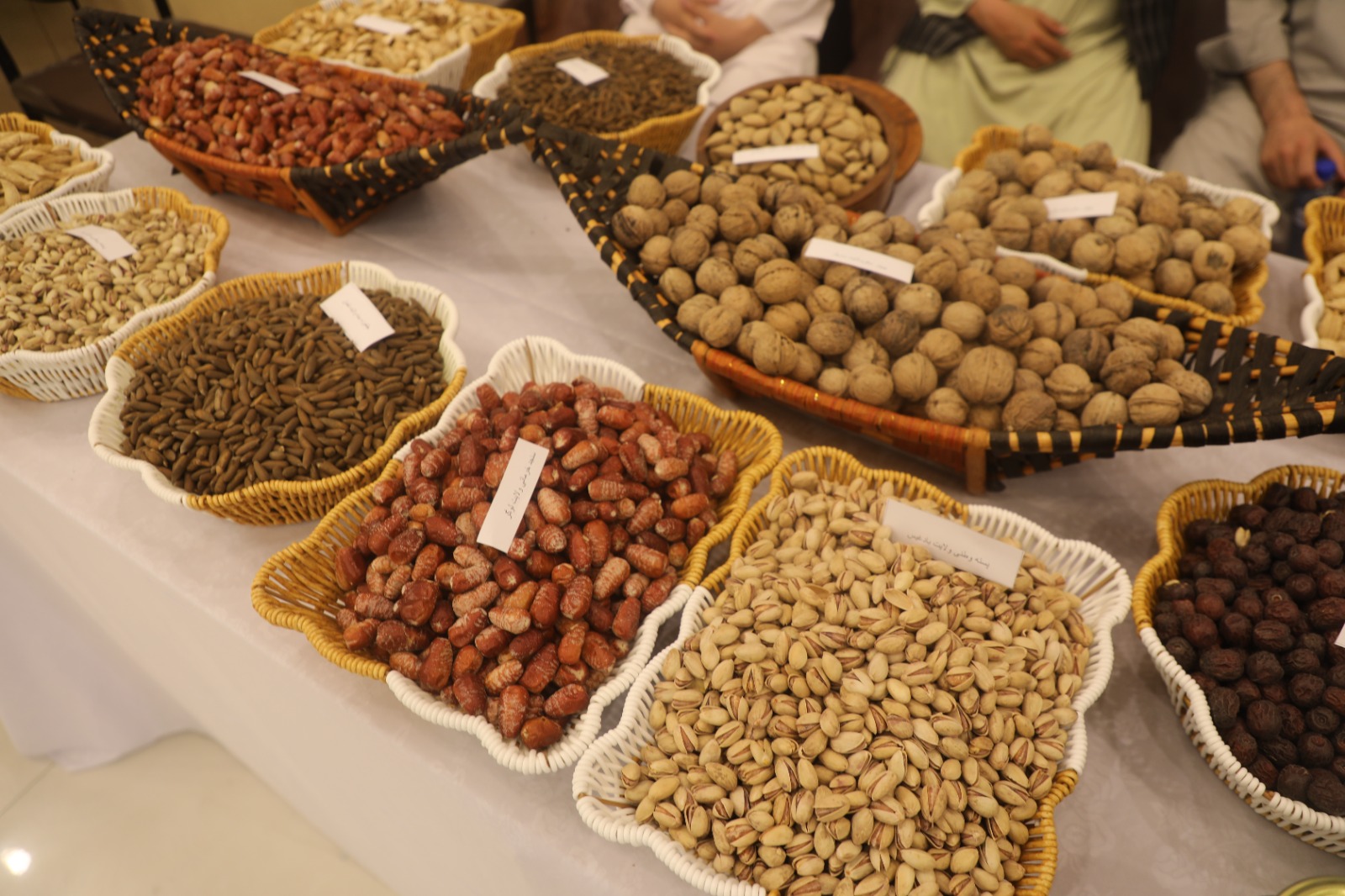 محصولات زراعتی و مالداری، ماشین‌آلات زراعتی و سایر تولیدات داخلی در نمایشگاه بین‌المللی زراعت و مالداری افغانستان، به روایت تصویر.