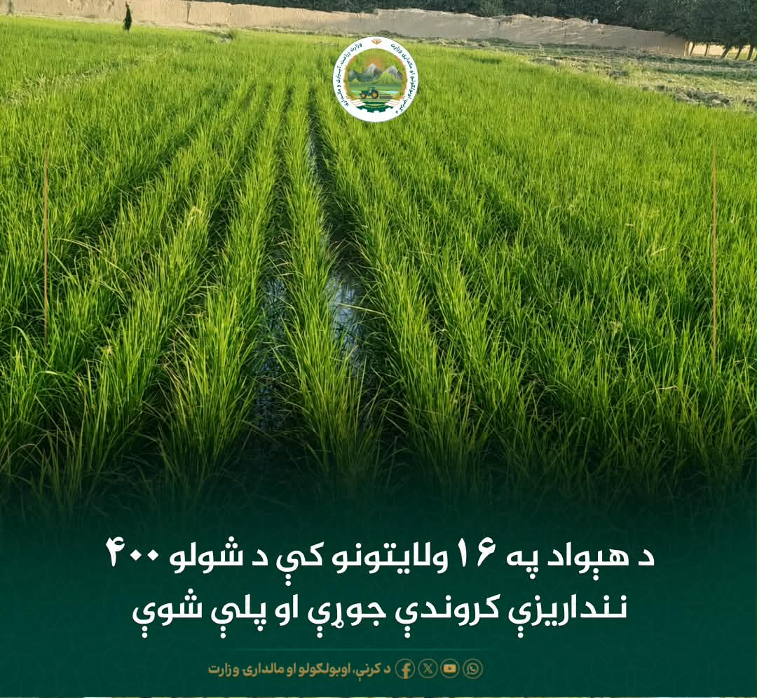 د ورځ مهمی خبری