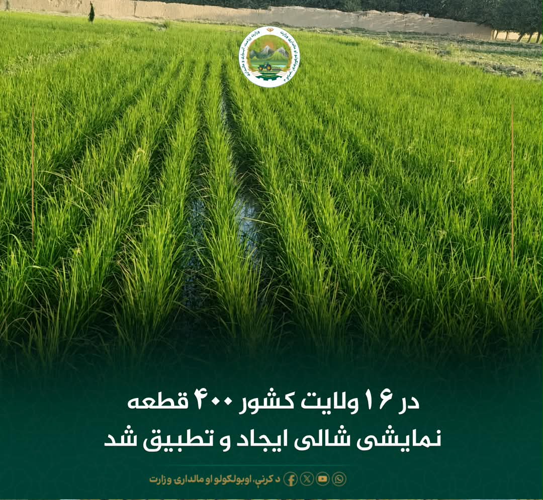 خبرهای مهم روز