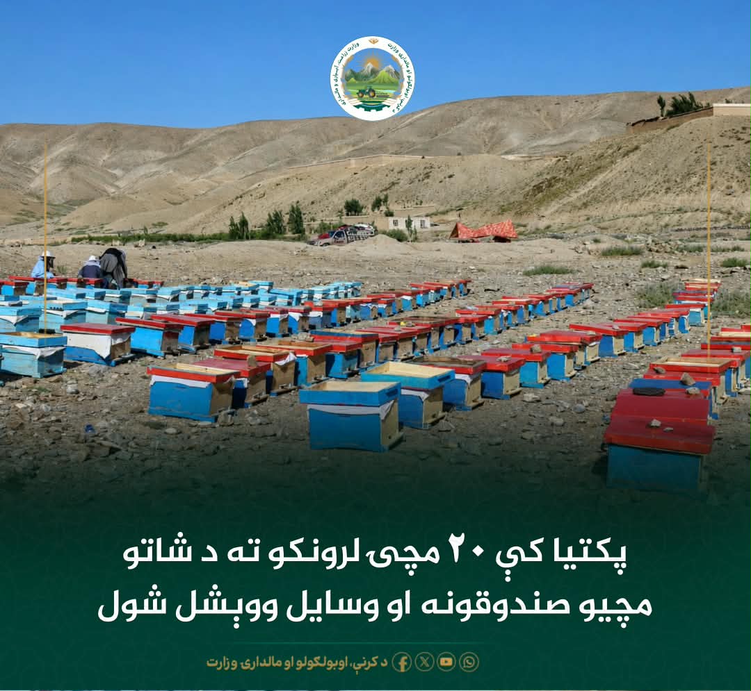 د ورځ مهمی خبری