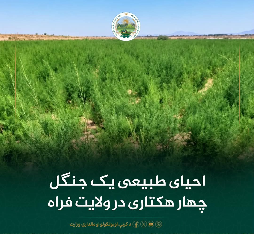 خبرهای مهم روز