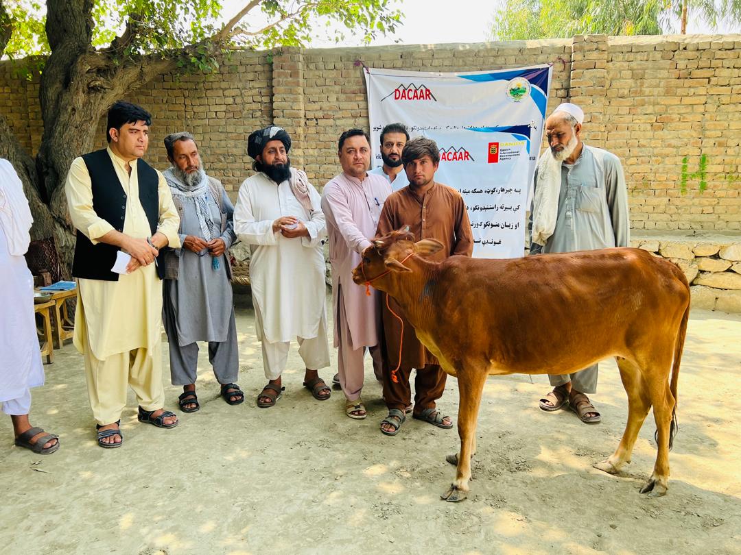 د ننګرهار په کوټ ولسوالی کې ۳۰ اړمنو کورنیو ته دوه کلنې بلاربې خوسکۍ ووېشل شوې
