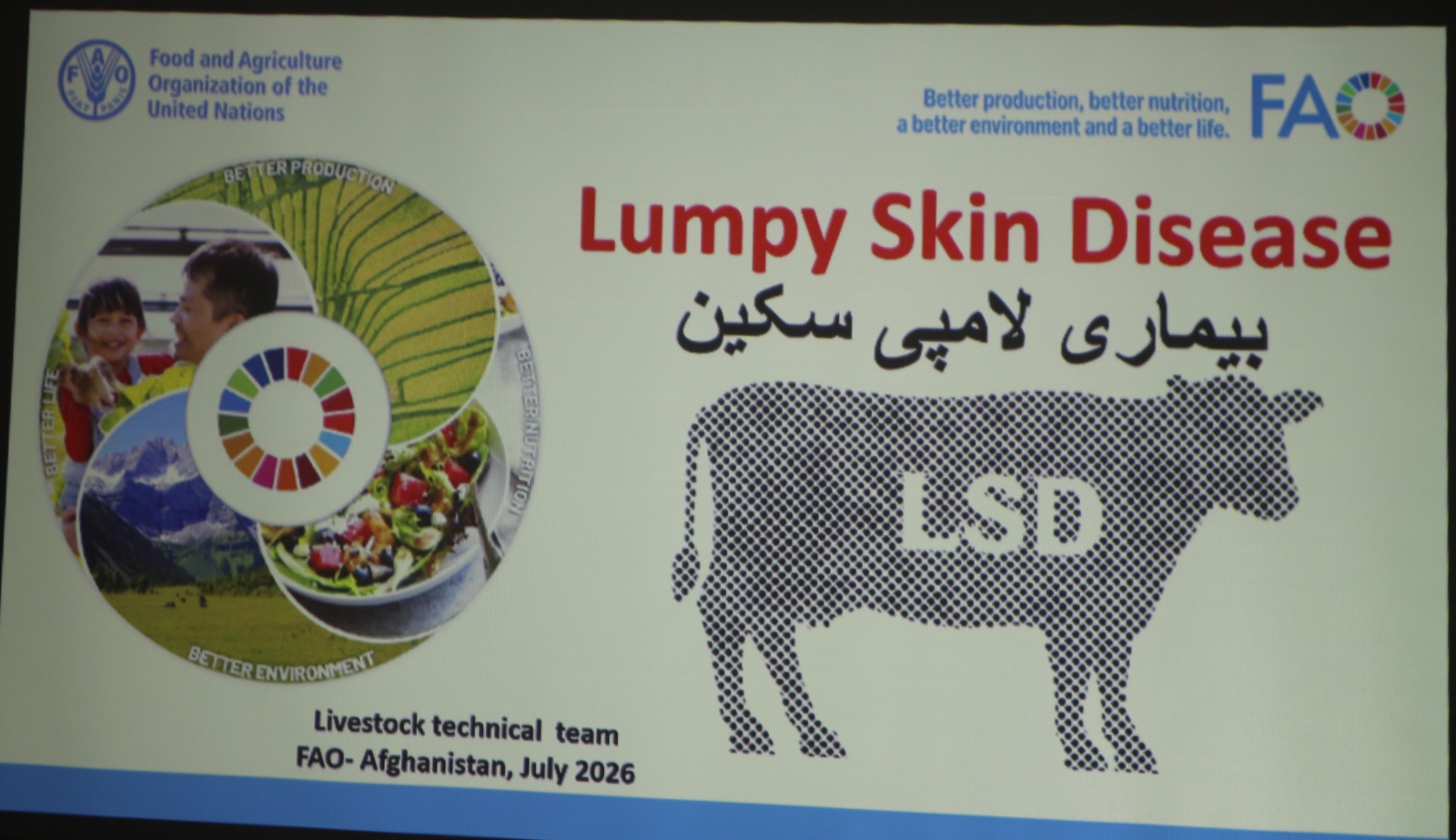 سویل ختیځ زون کې د پوستکې ناروغۍ پر وړاندې د څارویو د واکسین کمپاین د چمتووالي په موخه روزنیز پروګرام پیل شو