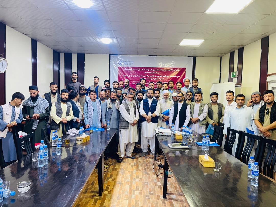 برای تطبیق کمپاین واکسیناسیون مواشی در بلخ ۹۵ هزار و ۶۰۰ دوز واکسین اختصاص یافت