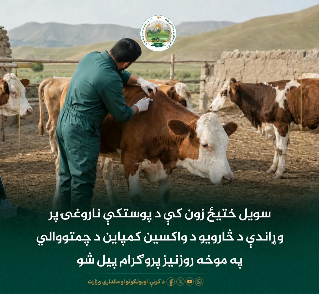 د ورځ مهمی خبری