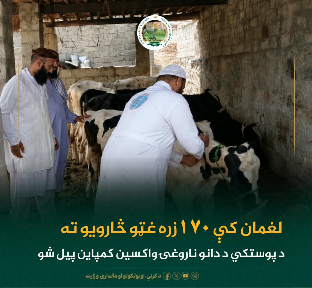 د ورځ مهمی خبری