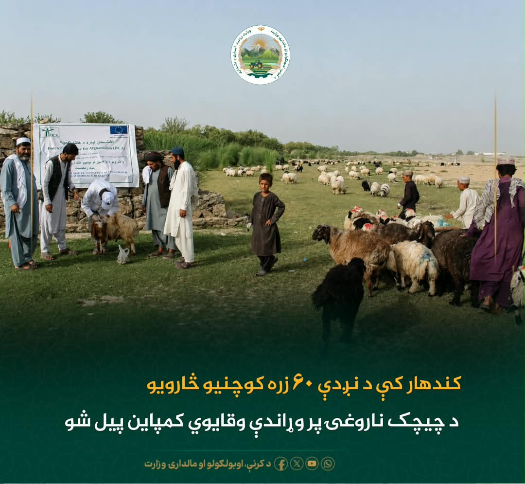 د ورځ مهمی خبری
