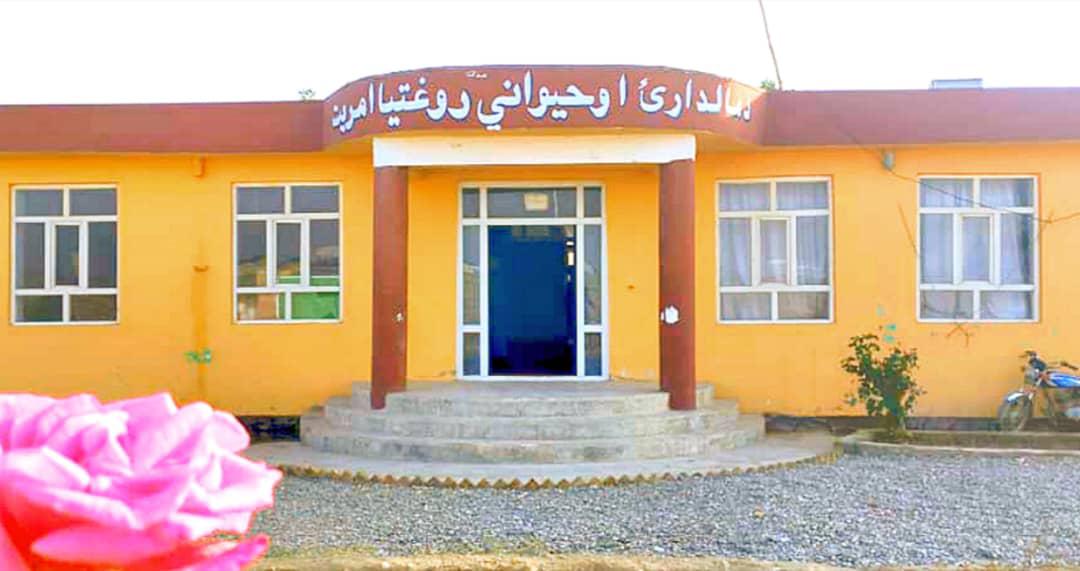 د هلمند د کرنې رییس د اصلاح شوو تخمونو تولیدي شرکت او د مالدارۍ آمریت چارې وارزولې