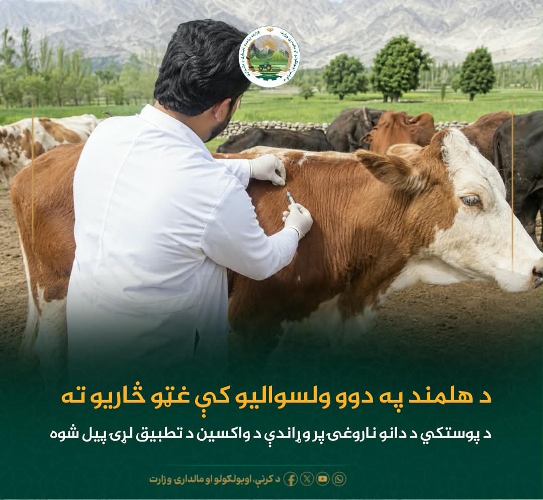 د ورځ مهمی خبری