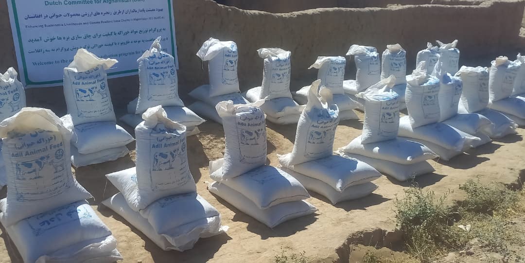 آغاز توزیع بیش از ۱۲۳ تُن خوراکه حیوانی برای مالداران بادغیس