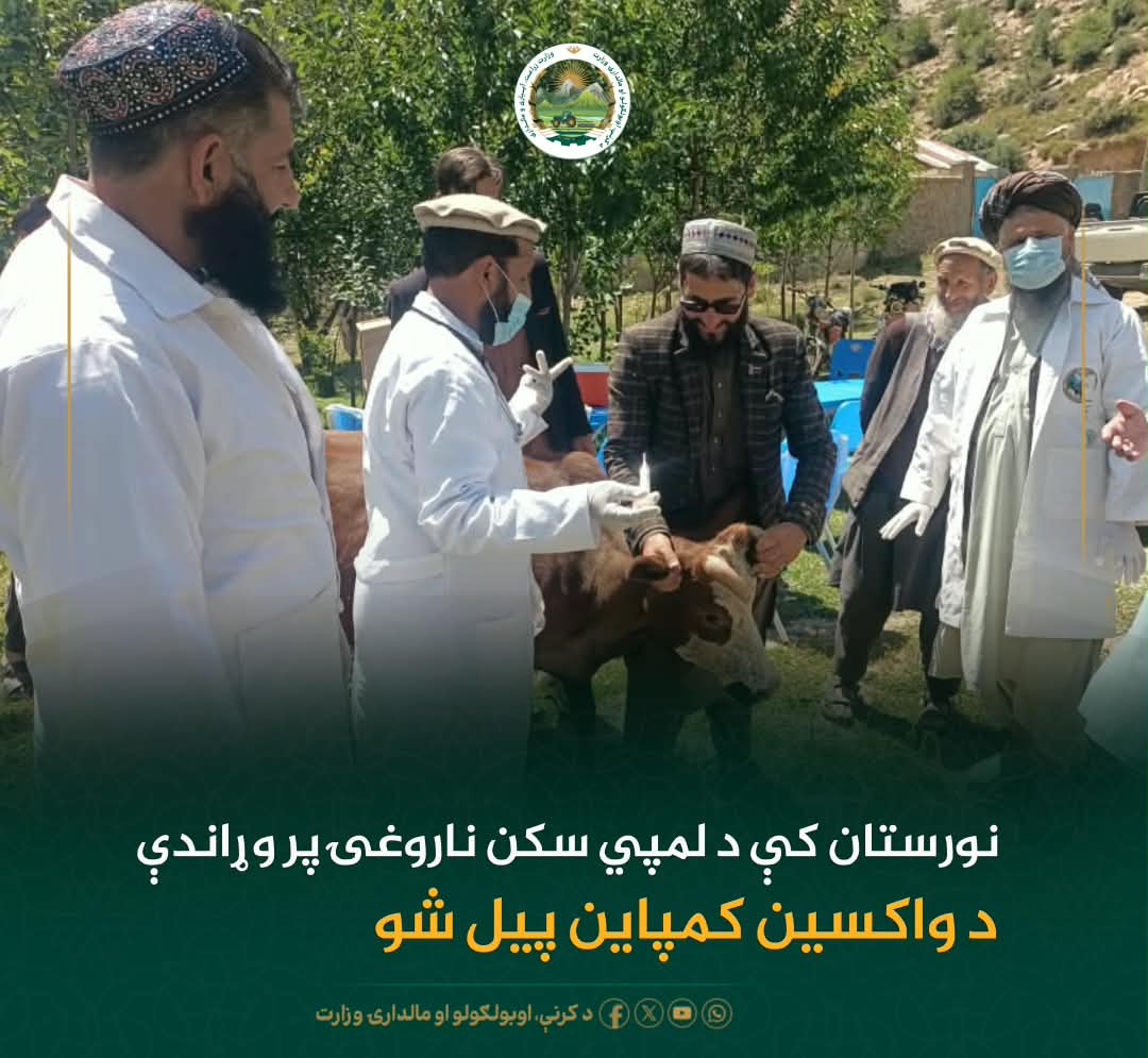 د ورځ مهمی خبری