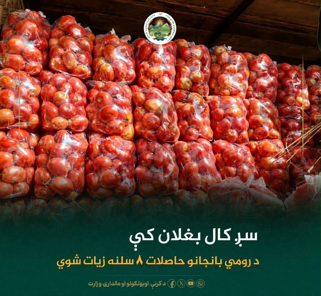 د ورځ مهمی خبری