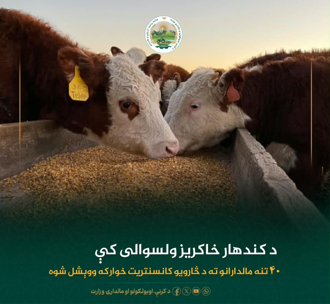 د ورځ مهمی خبری