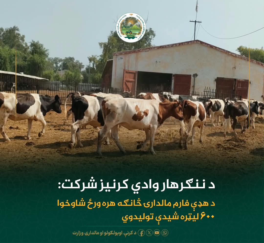 د ورځ مهمی خبری