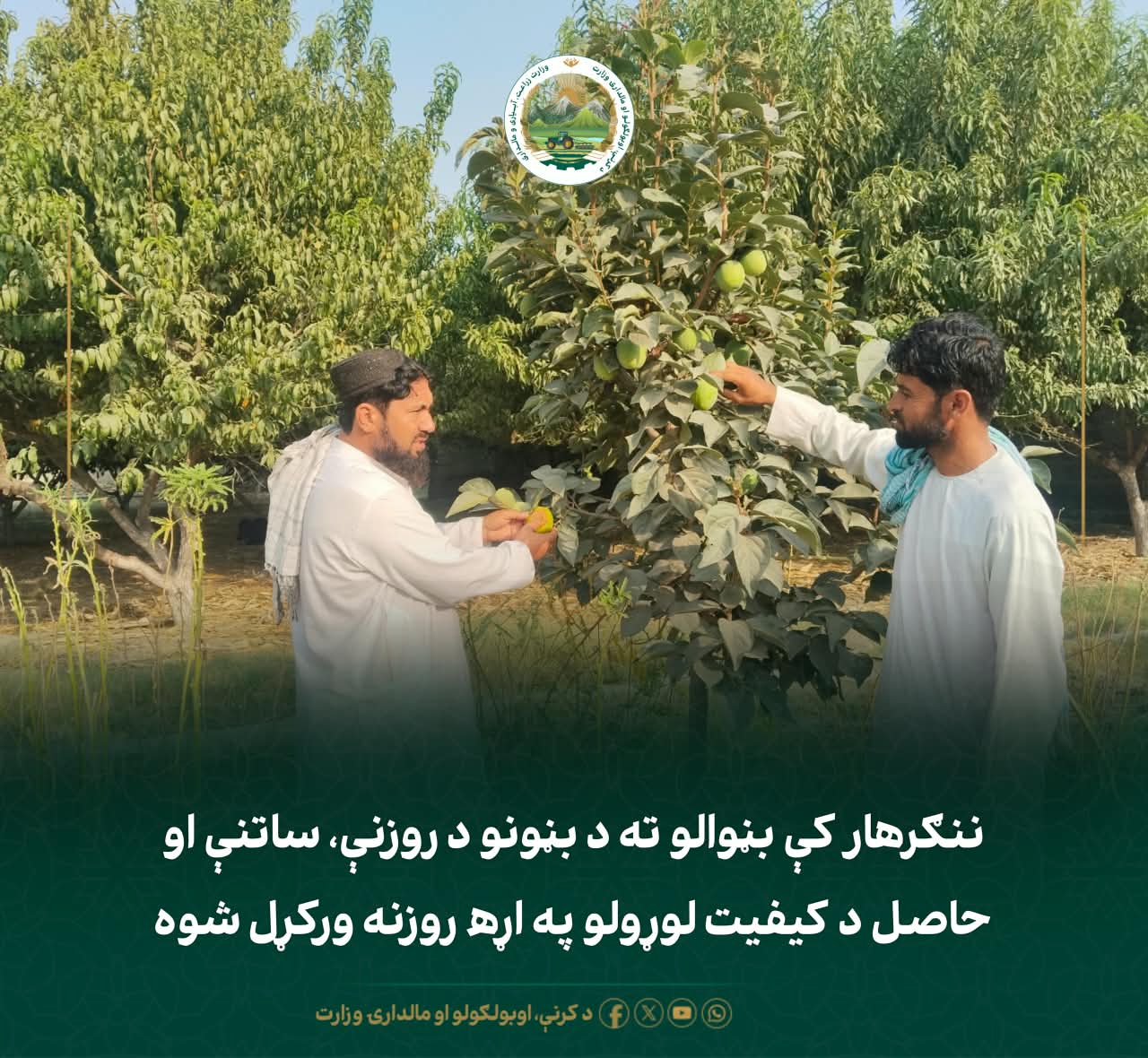 د ورځ مهمی خبری