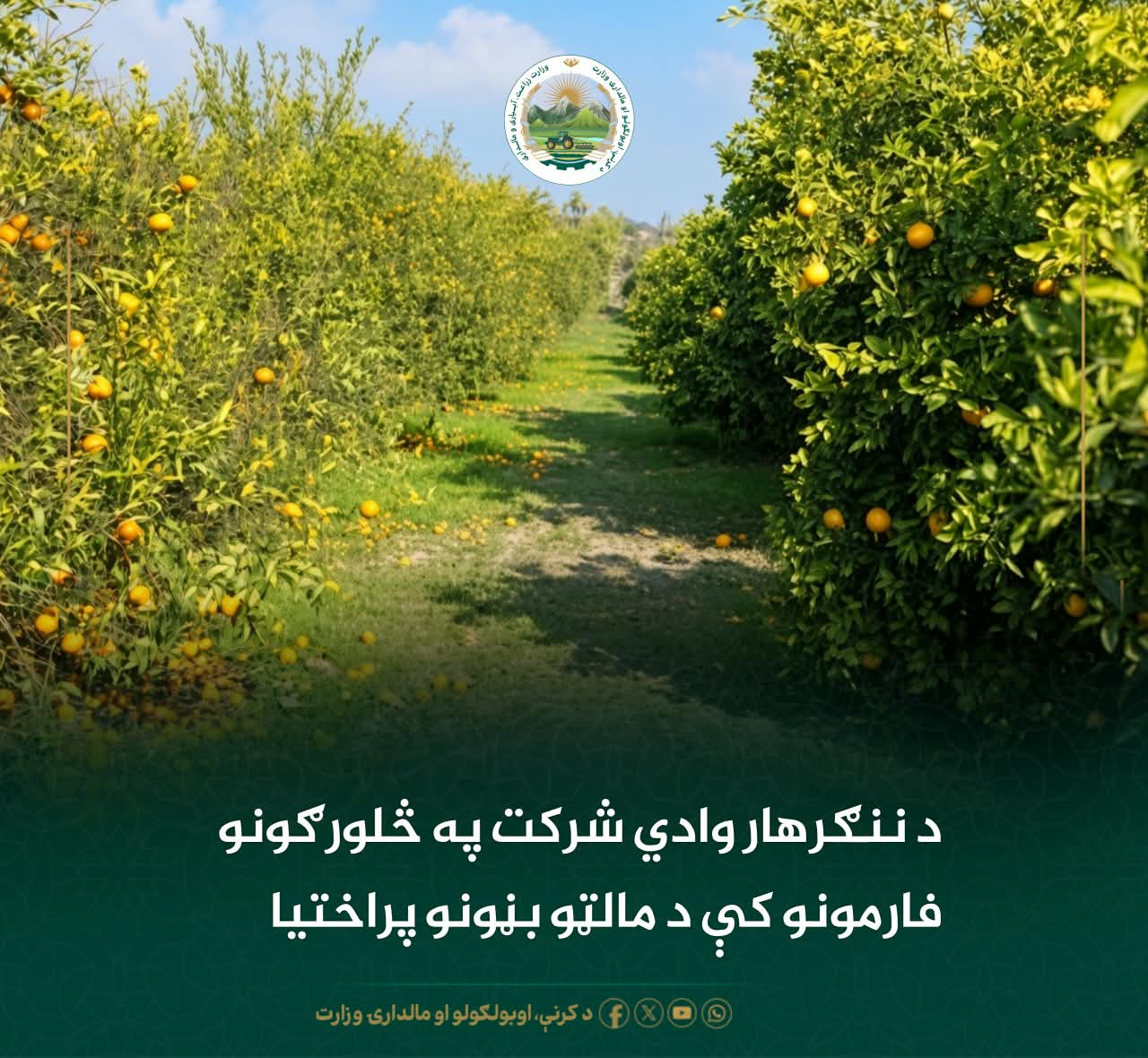 د ورځ مهمی خبری