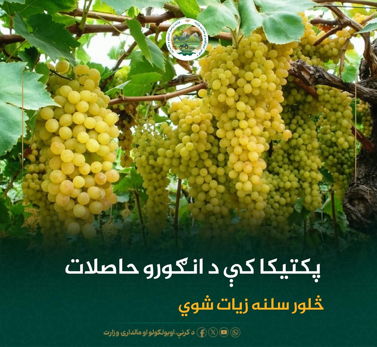 د ورځ مهمی خبری