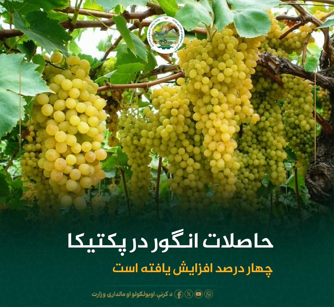 خبرهای مهم روز