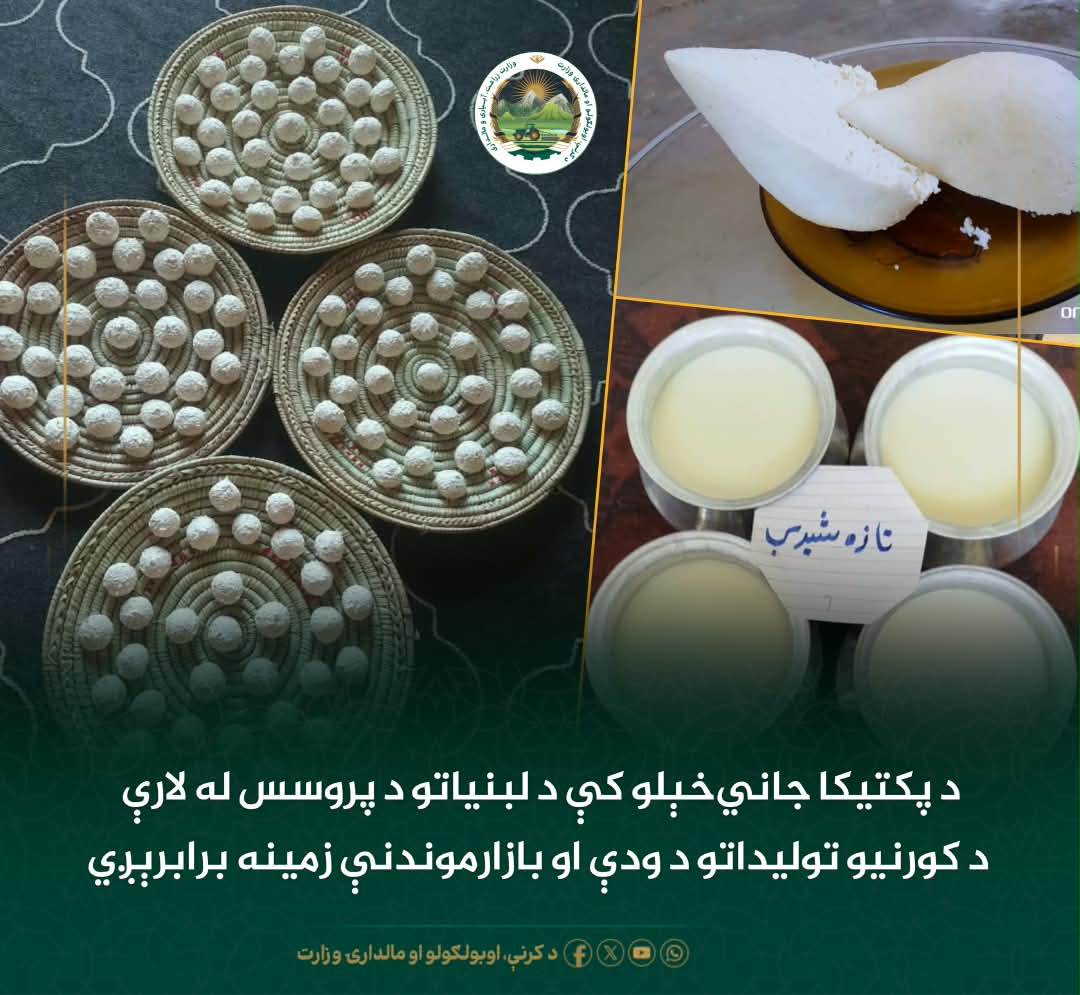 د ورځ مهمی خبری