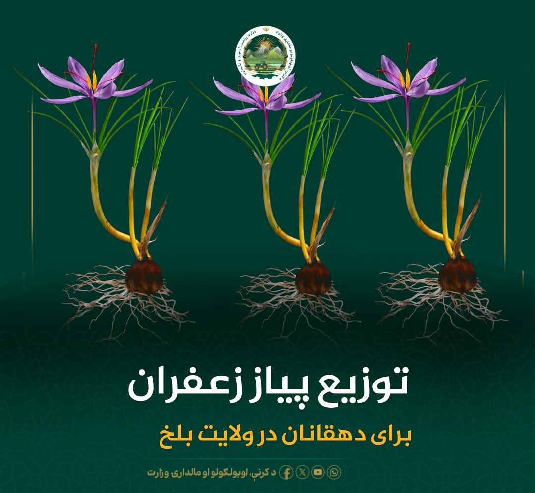 خبرهای مهم روز