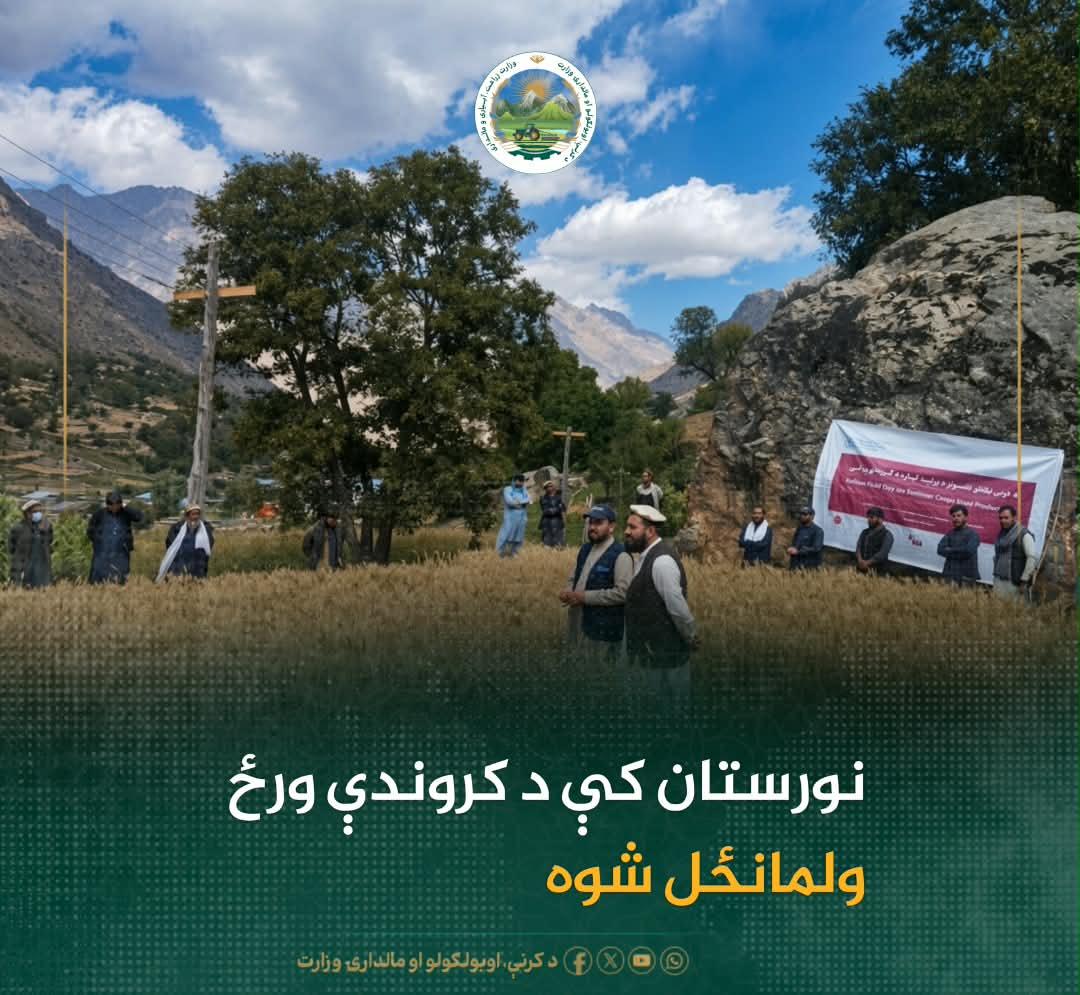 د ورځ مهمی خبری