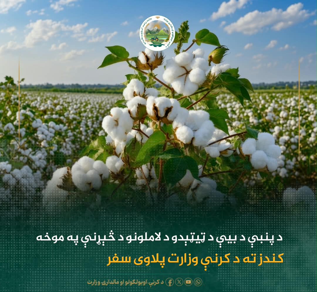 د ورځ مهمی خبری