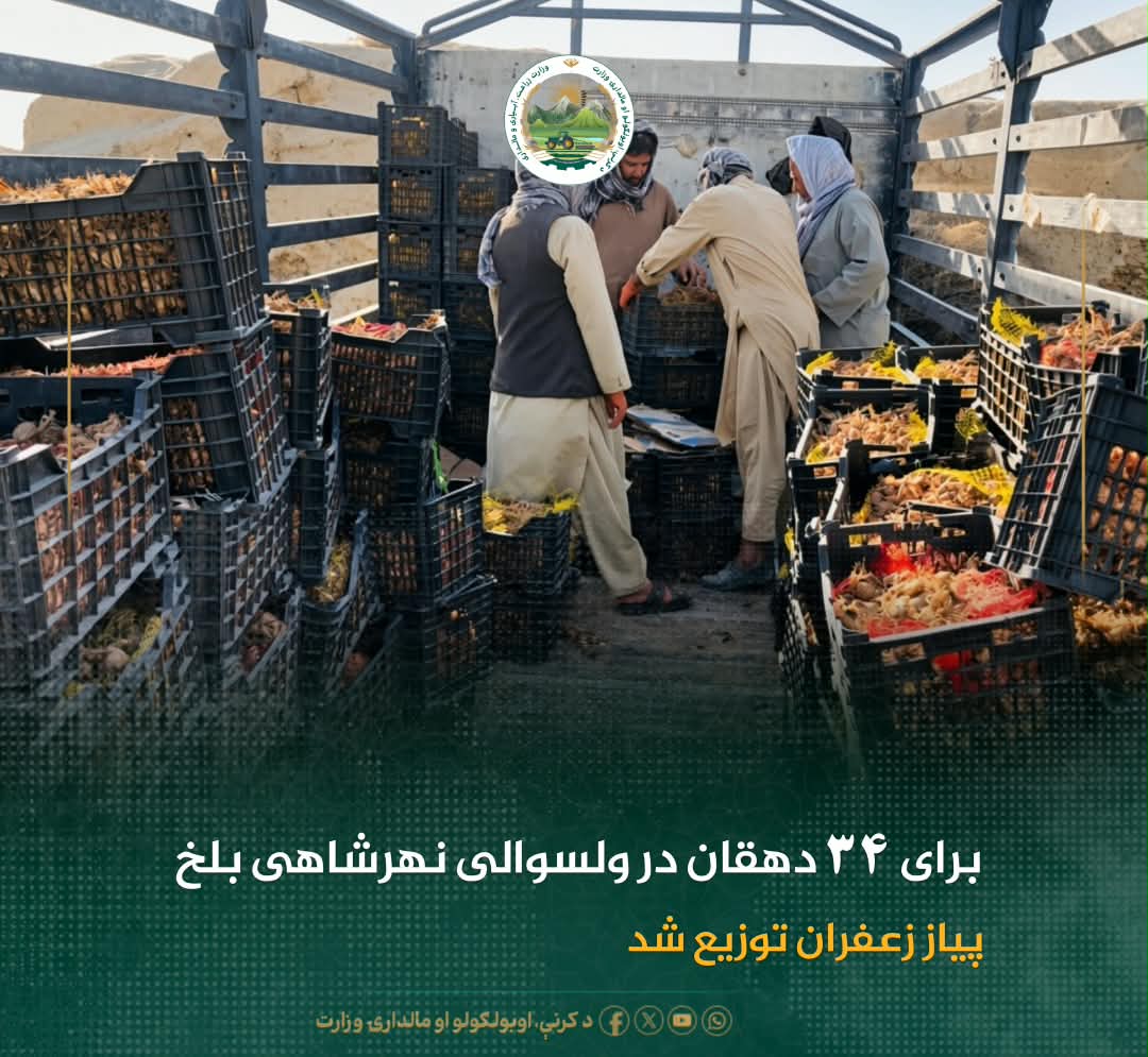 خبرهای مهم روز