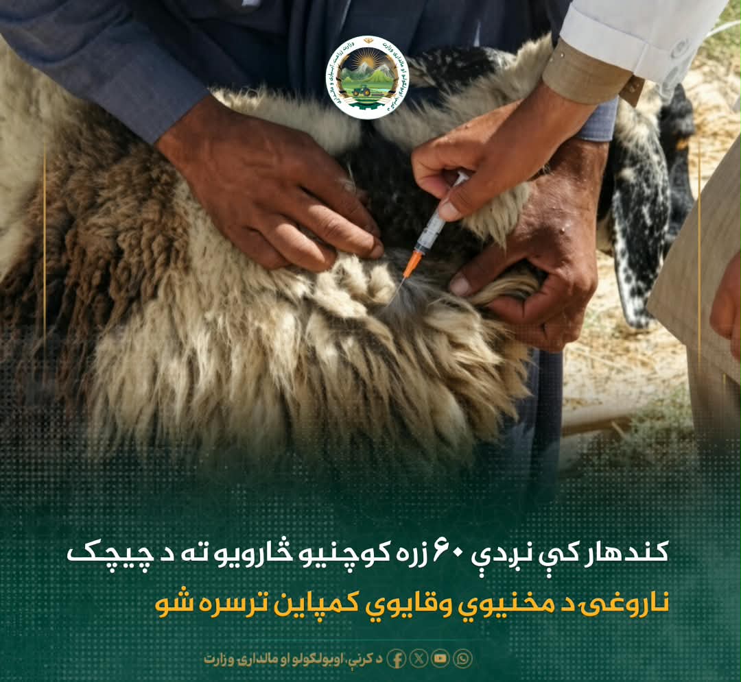 د ورځ مهمی خبری