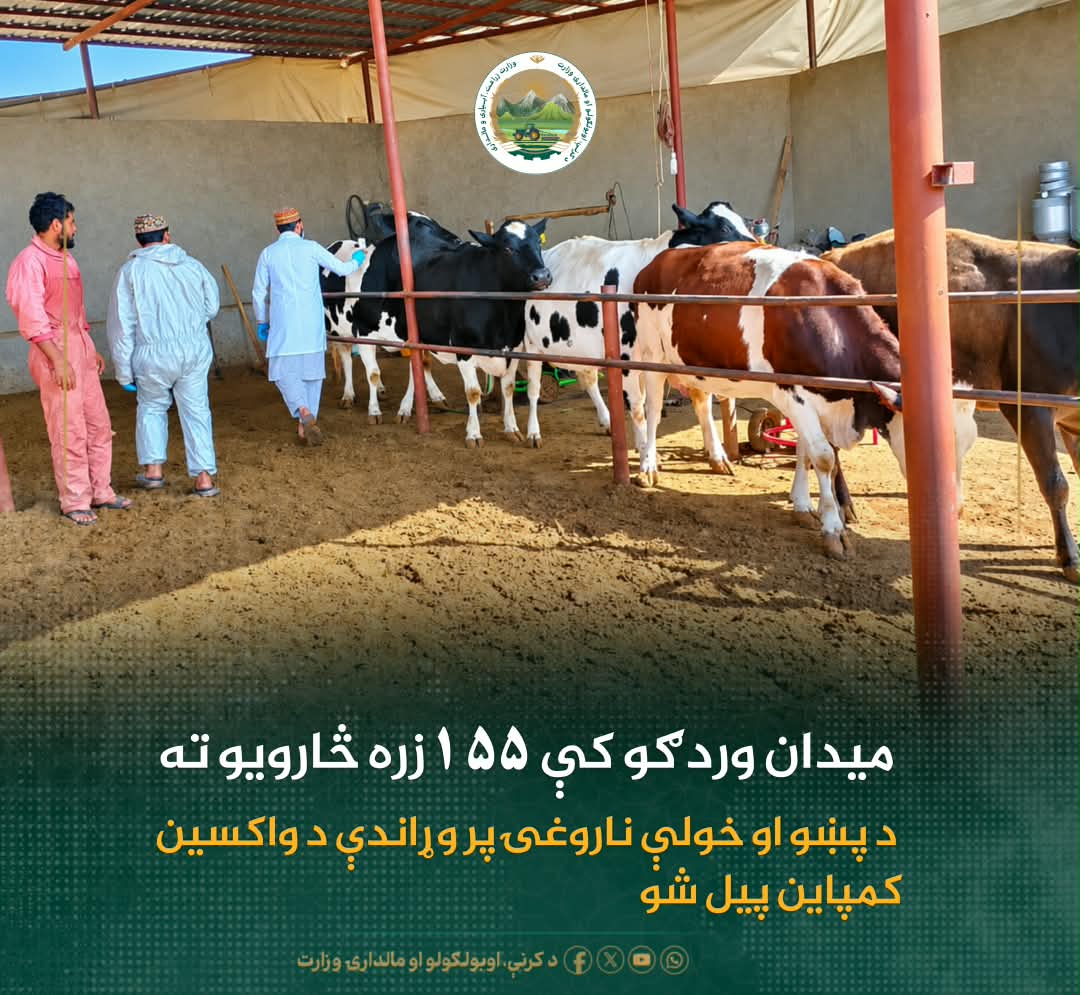 د ورځ مهمی خبری