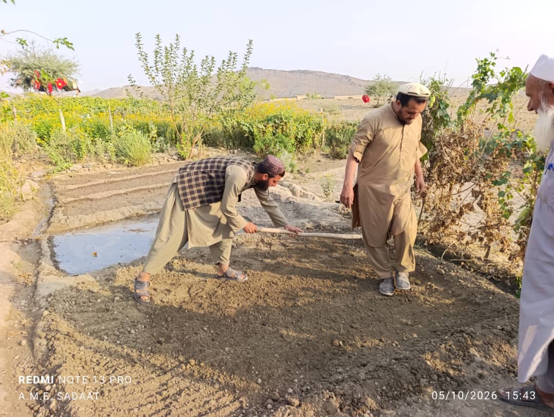 د ننګرهار یوشمېر ولسوالیو کې بزګرانو او بڼوالو ته مسلکي روزنه ورکړل شوه