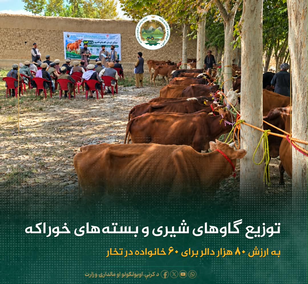 خبرهای مهم روز