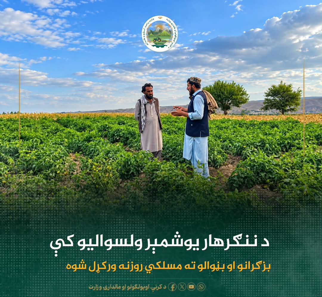د ورځ مهمی خبری