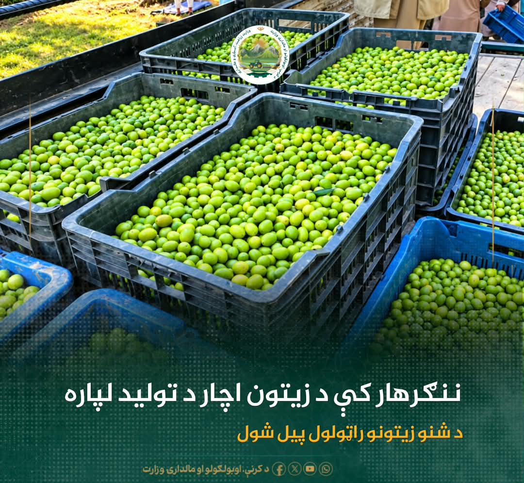 د ورځ مهمی خبری