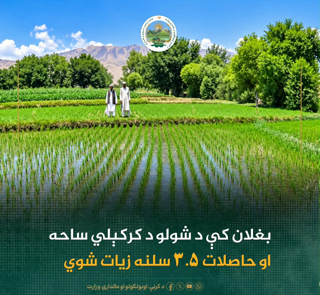 د ورځ مهمی خبری